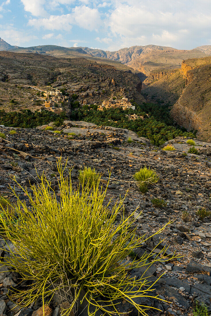 Misfat al Abreyeen, Sultanate of Oman, Middle East, The ancient mountain village in background