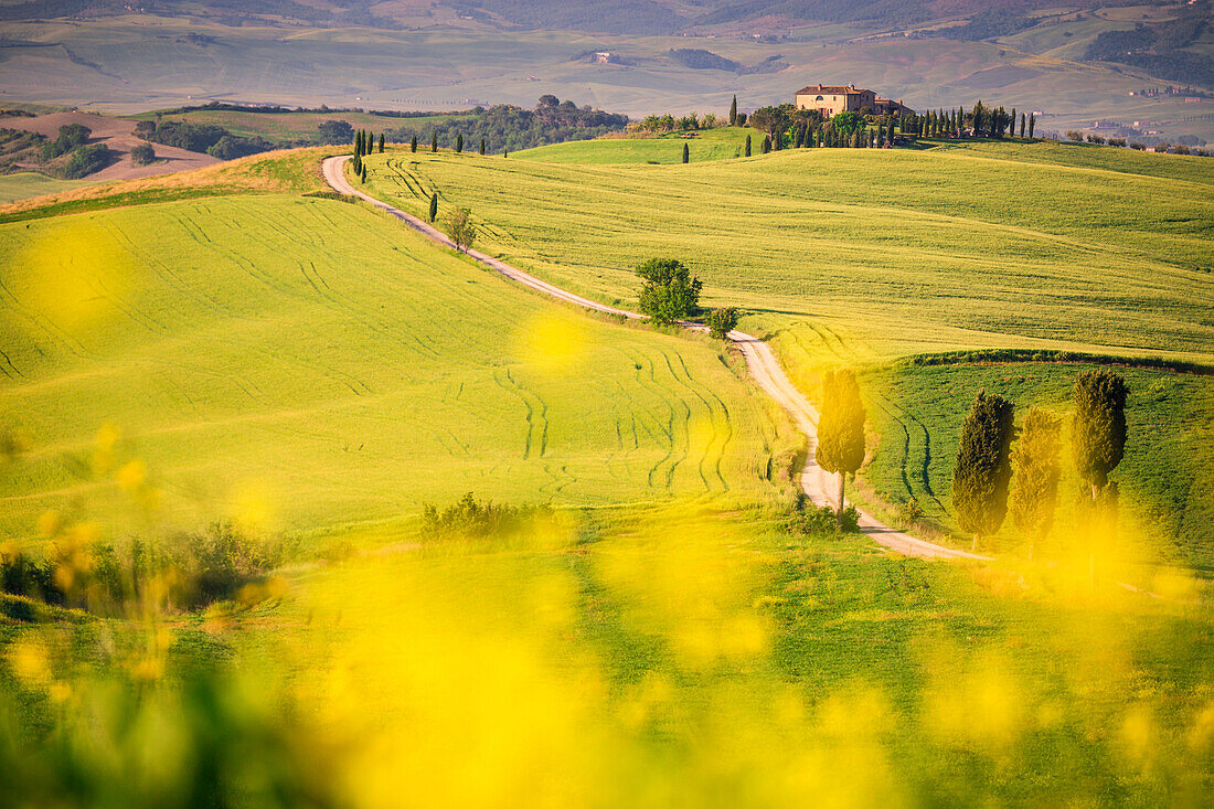 Podere Terrapille, Pienza, Val d'Orcia, Tuscany, Italy