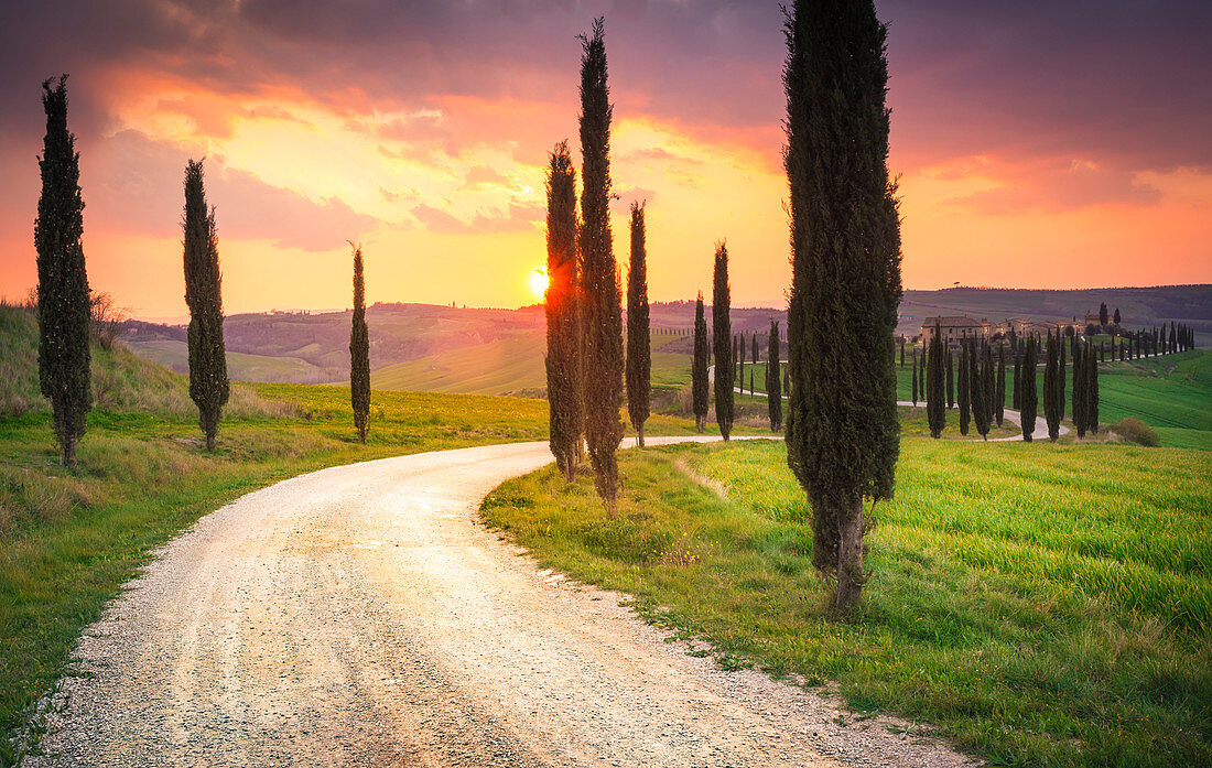 Podere Baccoleno, Asciano, Crete senesi, Tuscany, Italy