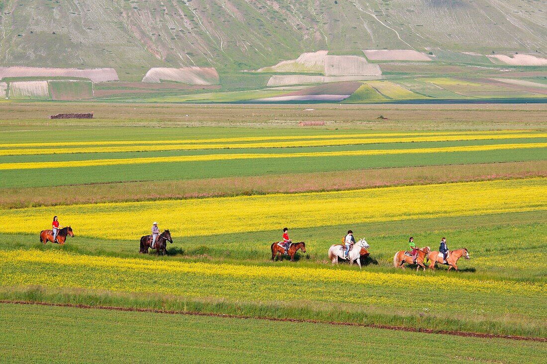 Europe, Italy, Umbria, Perugia district, Boys on horseback walking during the blooming season in Castelluccio of Norcia
