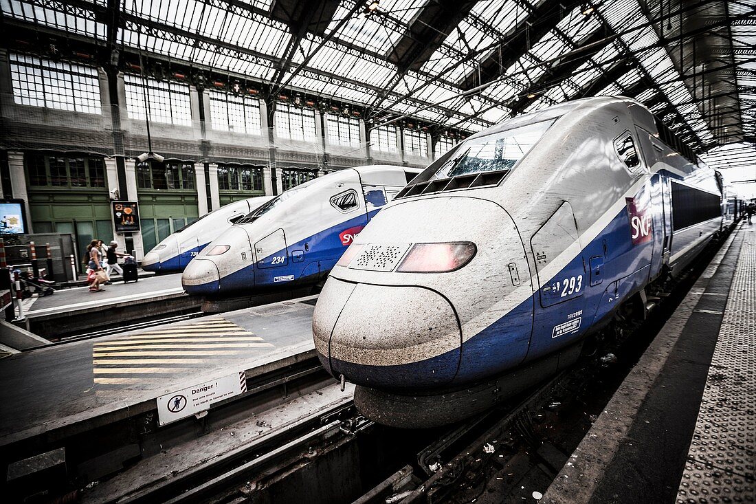 Modern high-speed bullet TGV and regional trains leave Paris from the historic Gare de Lyon station.