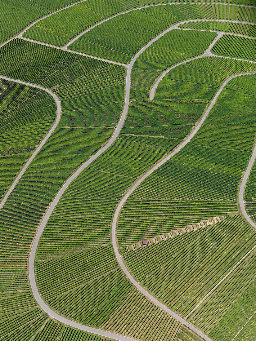 Aerial view of agricultural landscape, Hohenheim, Stuttgart, Baden-Wuerttemberg, Germany