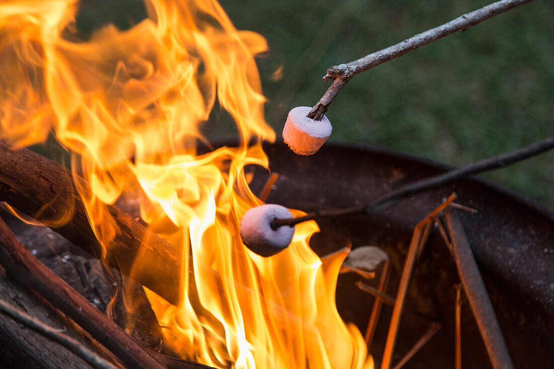 Close-up of marshmallows being toasted over bonfire