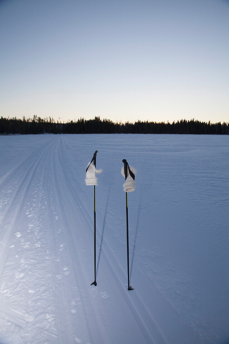 Ski poles and gloves in snowy landscape against clear sky at dusk