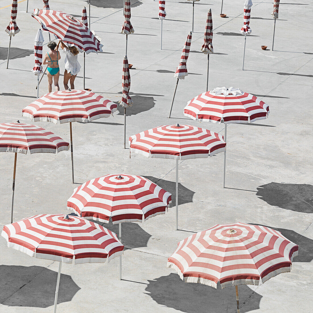 High angle view of parasols at beach during summer