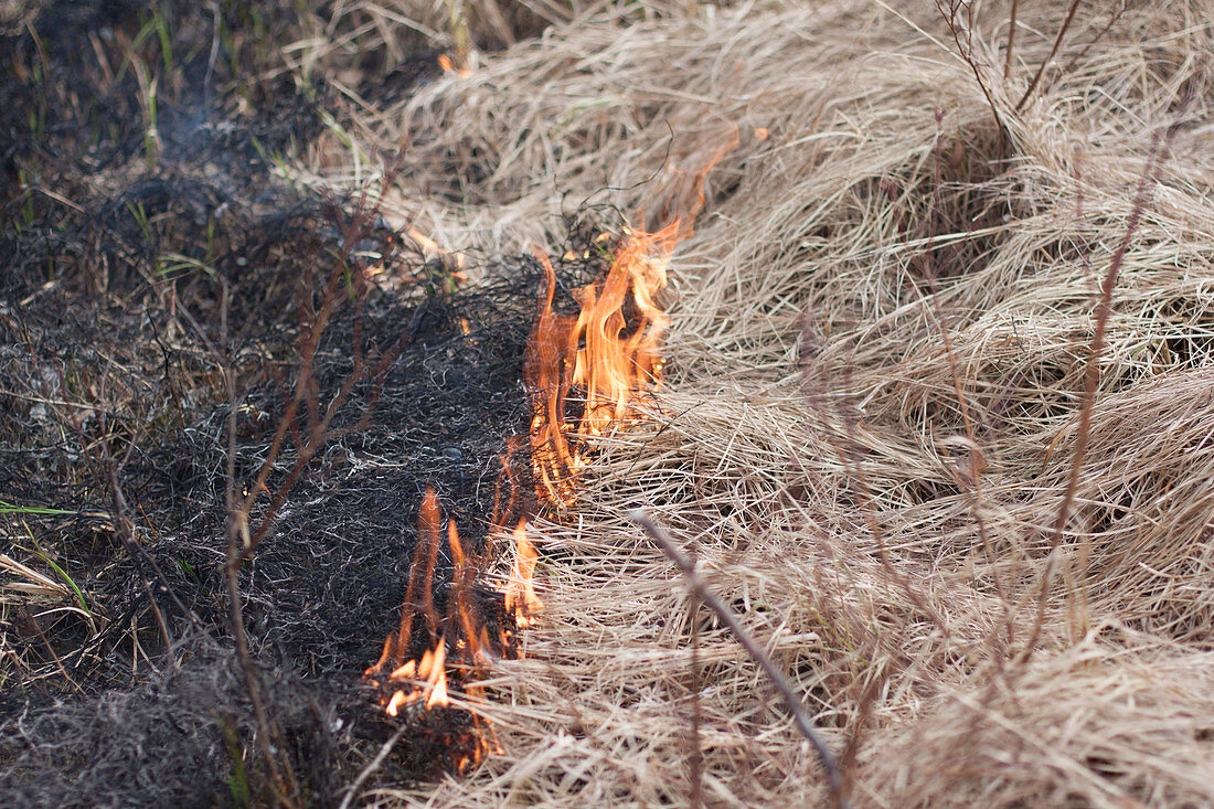 High angle view of burning dry grass