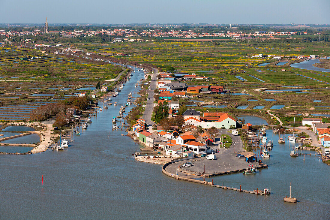 France, Charente-Maritime (17), Marennes, fishing village, Marennes fairway