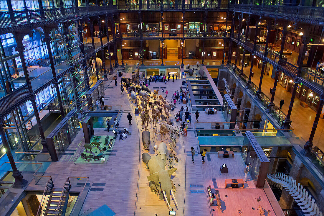 France. Paris 5th district. The Jardin des plantes (Garden of Plants). The Great Evolution Gallery