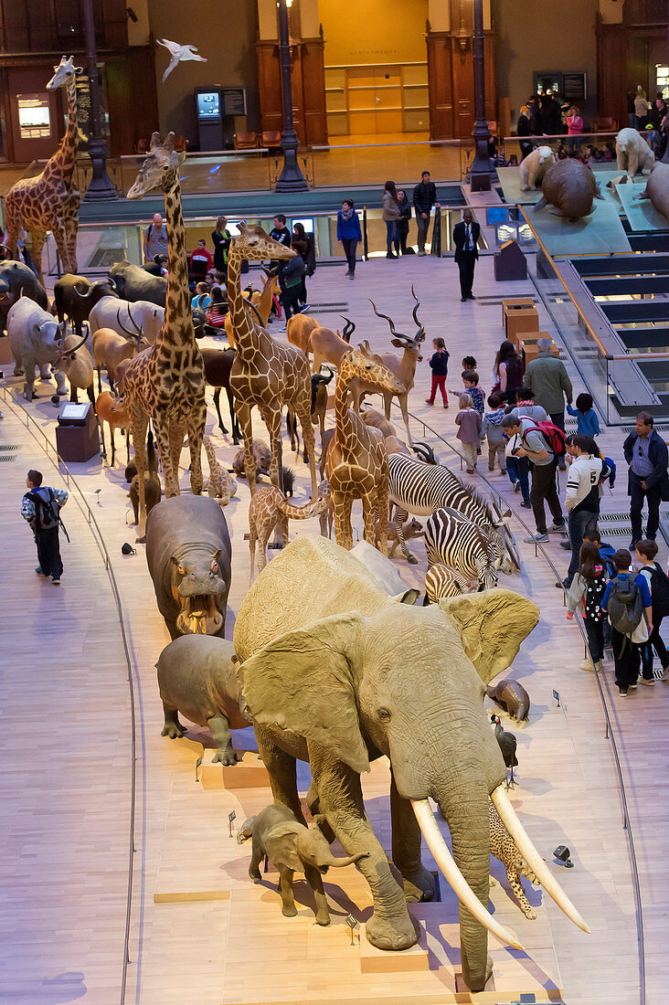 France. Paris 5th district. The Jardin des plantes (Garden of Plants). The Great Evolution Gallery