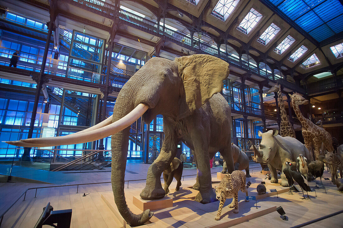 France. Paris 5th district. The Jardin des plantes (Garden of Plants). The Great Evolution Gallery