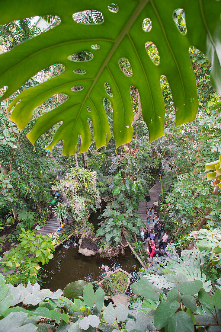 France. Paris 5th district. The Jardin des plantes (Garden of Plants). The Great Greenhouses. The tropical greenhouse
