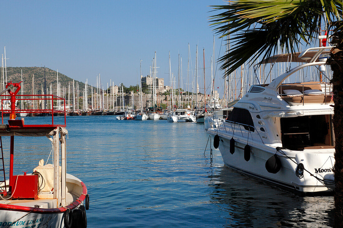 Turkey, province of Mugla, Bodrum, the port and Saint Pierre castle