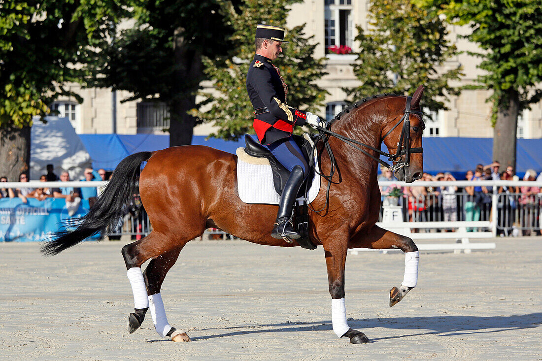France, Paris. Vincennes. Bois de Vincennes. Republican guard. Training solo. Trotting horse