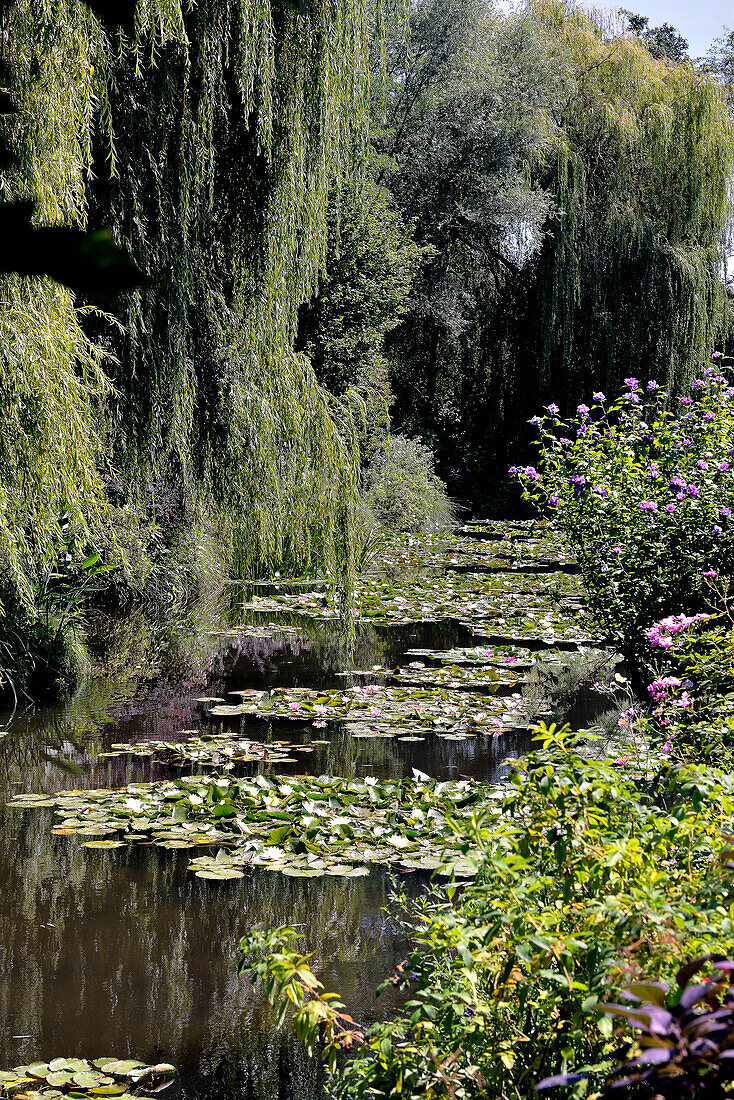 France, Normandy, Eure, Giverny, house and garden of the painter Claude Monet, Water Lily Pond