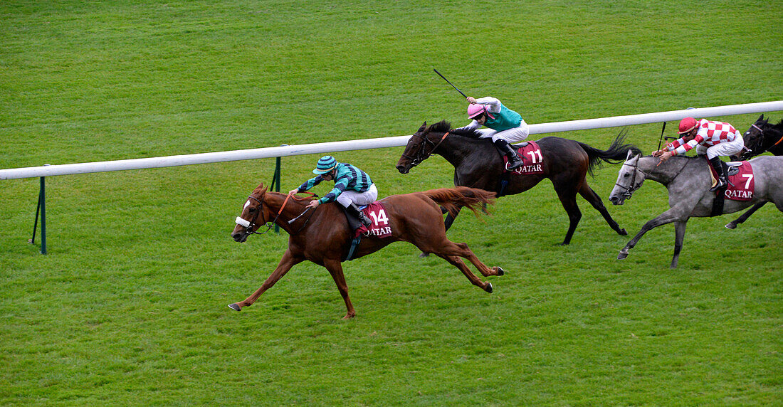 France, Paris 16th district, Longchamp Racecourse, Qatar Prix de l'Arc de Triomphe on October 5th 2014