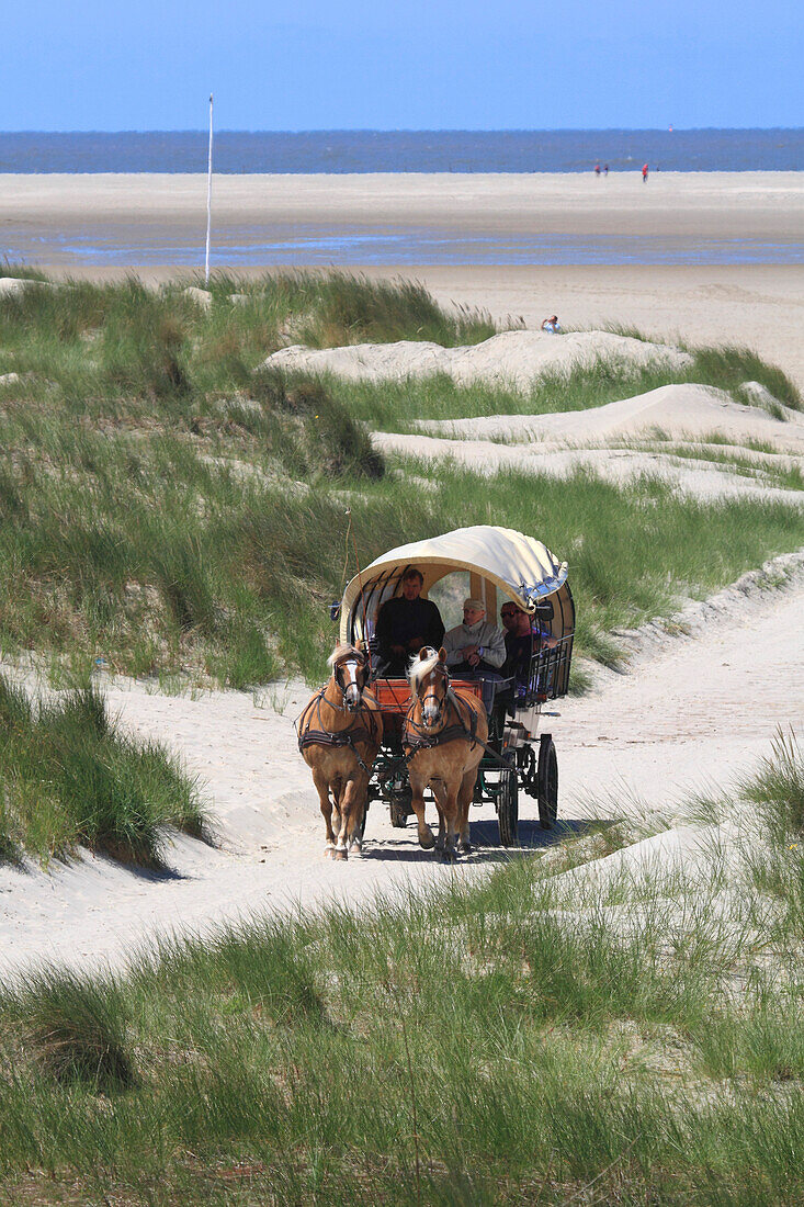 Germany, Lower Saxony. Borkum Island. The beach