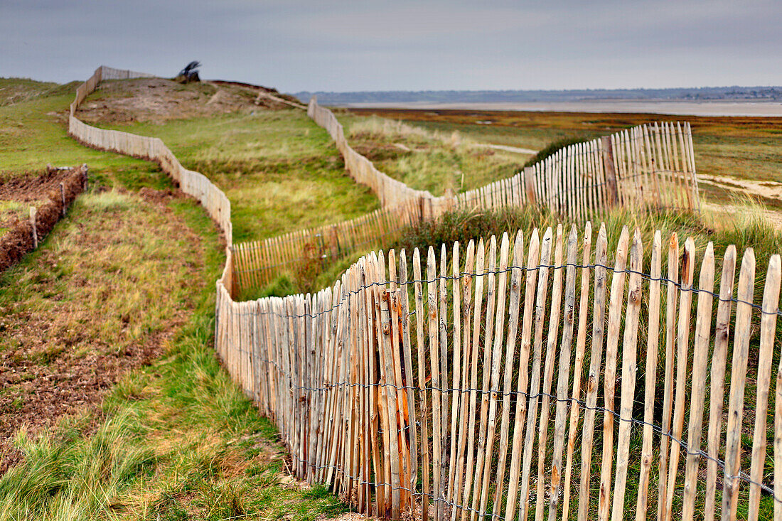 France, Normandy. Manche. Agon-Coutainville. Prtected natural site in Agon-Coutainville cape.