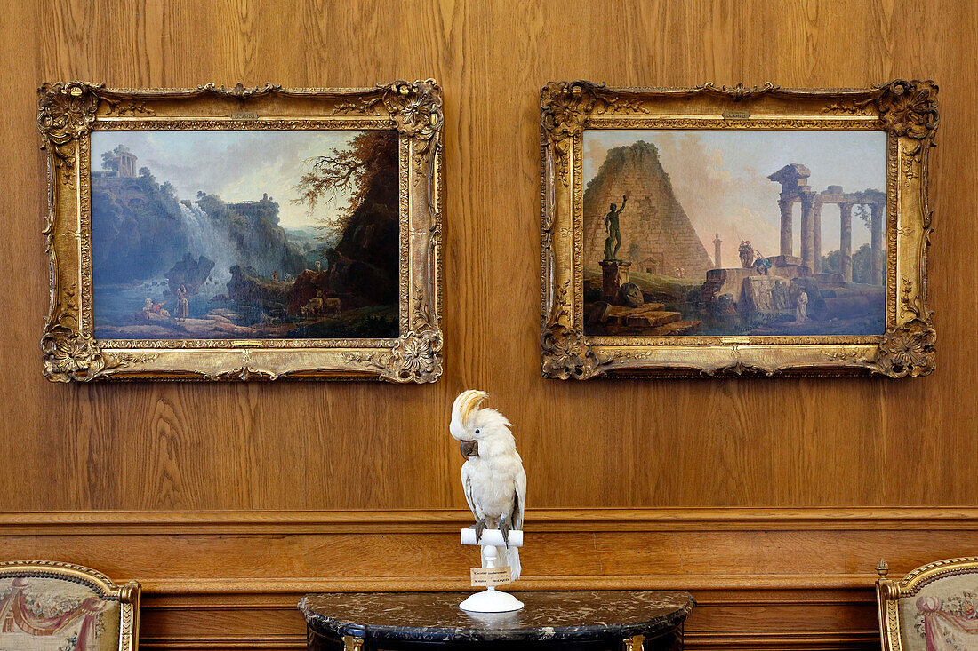 France,Paris, 8th district, Petit Palais. Stuffed Cockatoo in the foreground.
