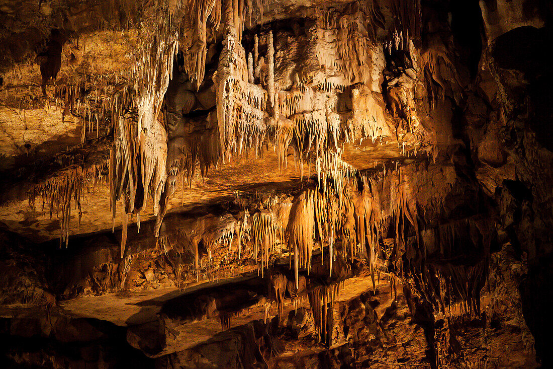 France, Lot, Cave of Lacave, Stalactites ceiling