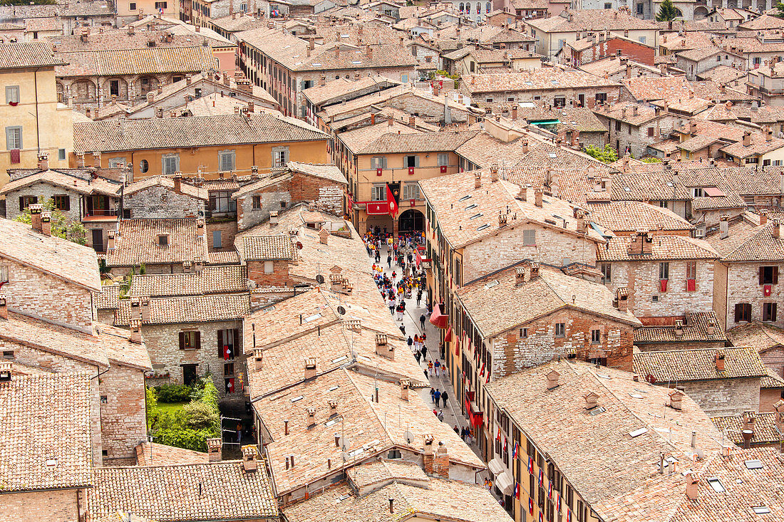 Europe, Italy, Umbria, Perugia district, Gubbio, The crowd and the Race of the Candles