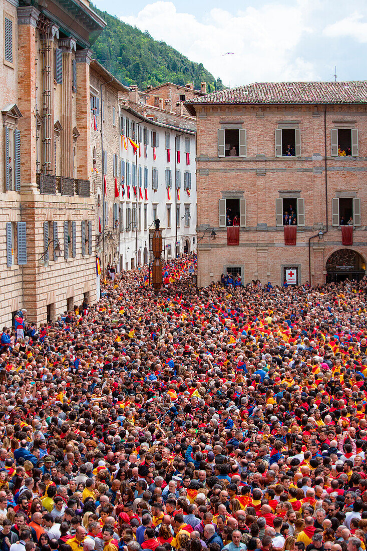 Europe, Italy, Umbria, Perugia district, Gubbio, The crowd and the Race of the Candles