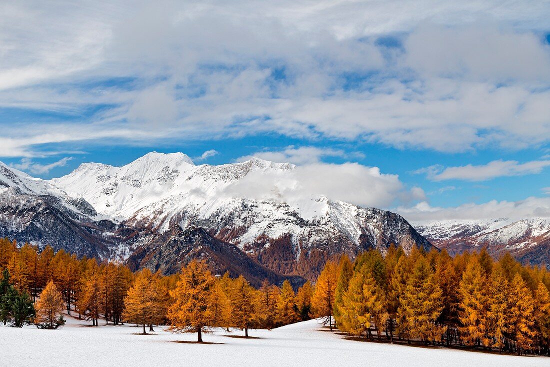 Orsiera Rocciavre Park, Chisone Valley, Turin, Piedmont, Italy, Autumn Orsiera Rocciavre Park