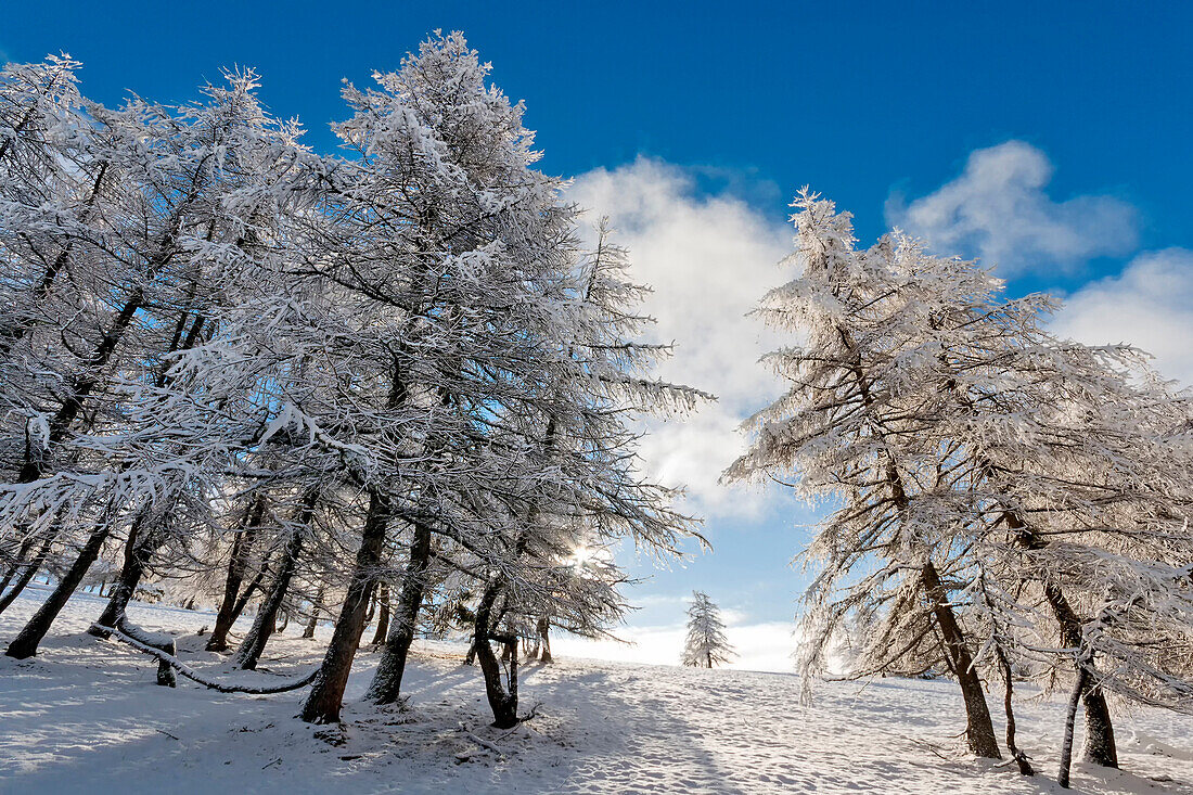 Orsiera Rocciavre Park, Chisone Valley, Turin, Piedmont, Italy, Winter Orsiera Rocciavre Park