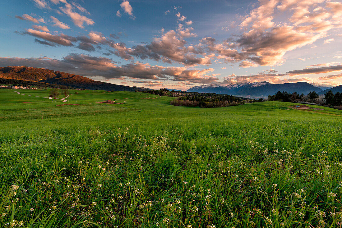 Italy, Trentino Alto Adige, sunset on the prairies of Non valley on a spring day