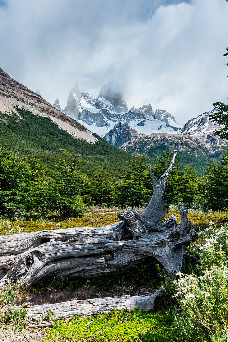 Argentina, Patagonia, El Chalten, Los Glaciares National Park, Fitz Roy
