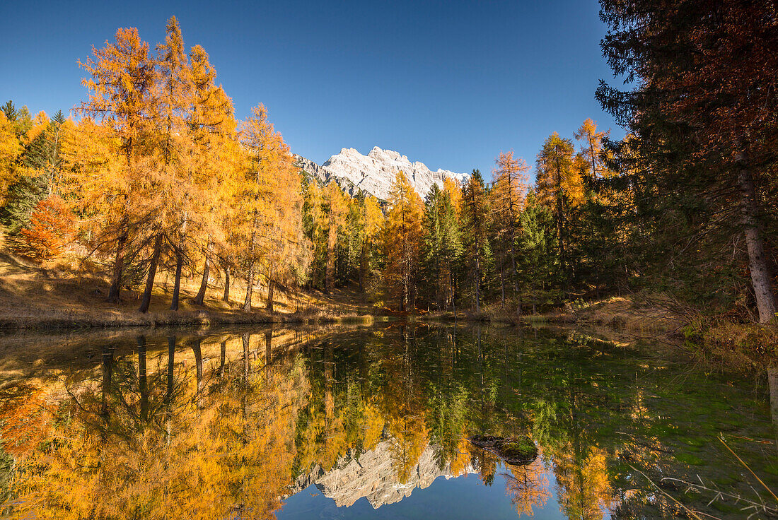 The mirror into the woods, Cortina d'Ampezzo, Belluno district, Veneto, Italy, Europe