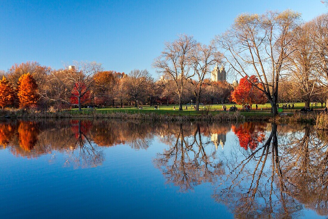 Central Park, New York City, USA