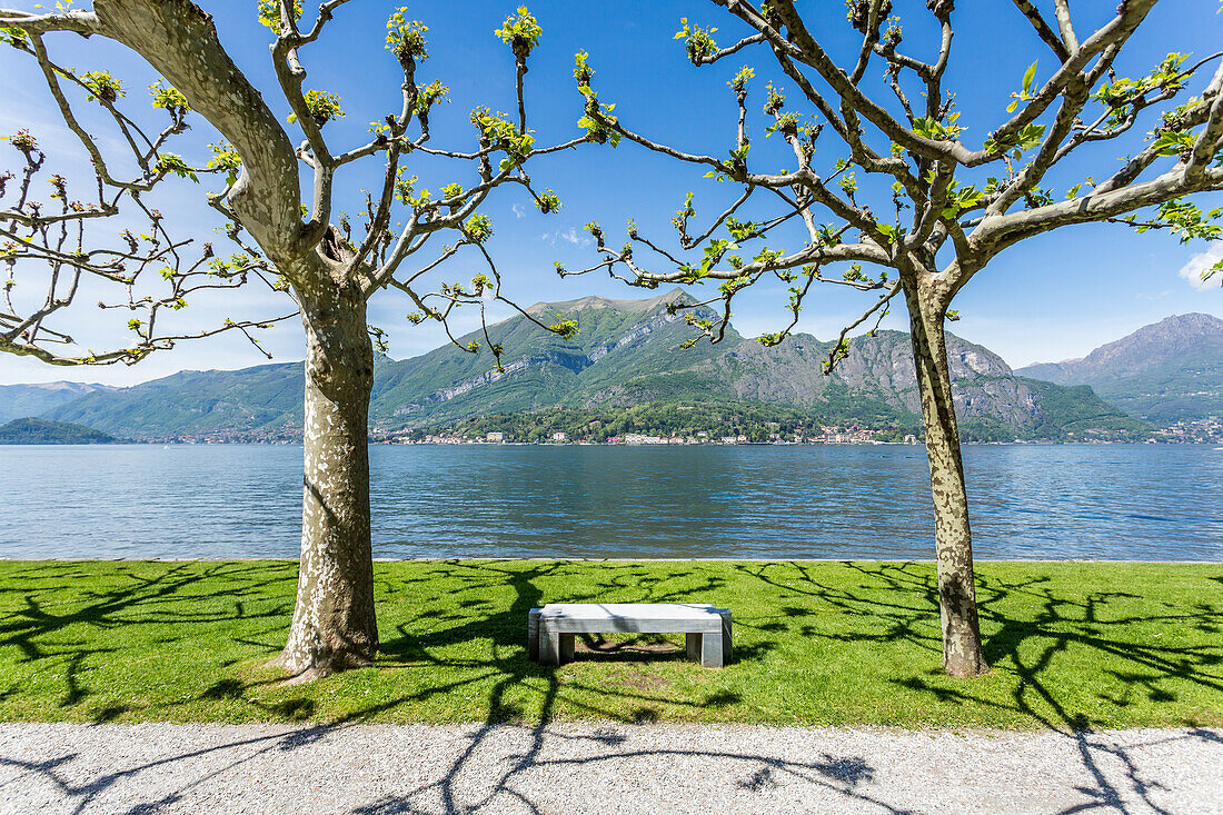 Bench in the gardens of Villa Melzi d'Eril in Bellagio, on the shores of Lake Como, Lombardy, Italy