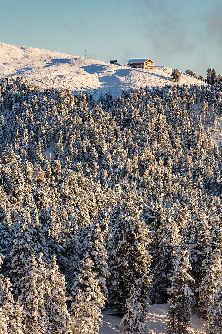 Pines covered in snow and an isolated wooden lodge, Passo delle Erbe, Bolzano, Trentino Alto Adige - Sudtirol, Italy, Europe