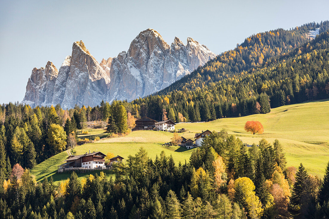 Autumnal landscape with Odle Dolomites peaks on the background, Santa Maddalena, Val di Funes, Trentino Alto Adige - Sudtirol, Italy, Europe