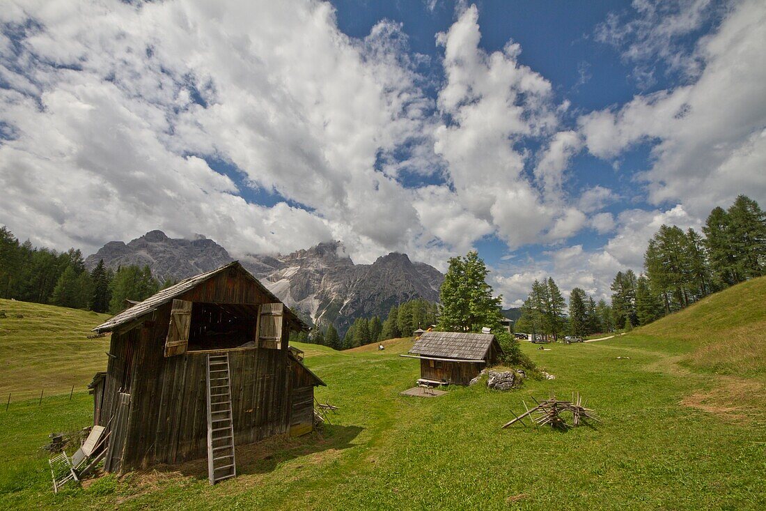 Plateau of Croda Rossa whit its barns on green grass, in summer, Val Fiscalina, fischleinvalley, South Tyrol