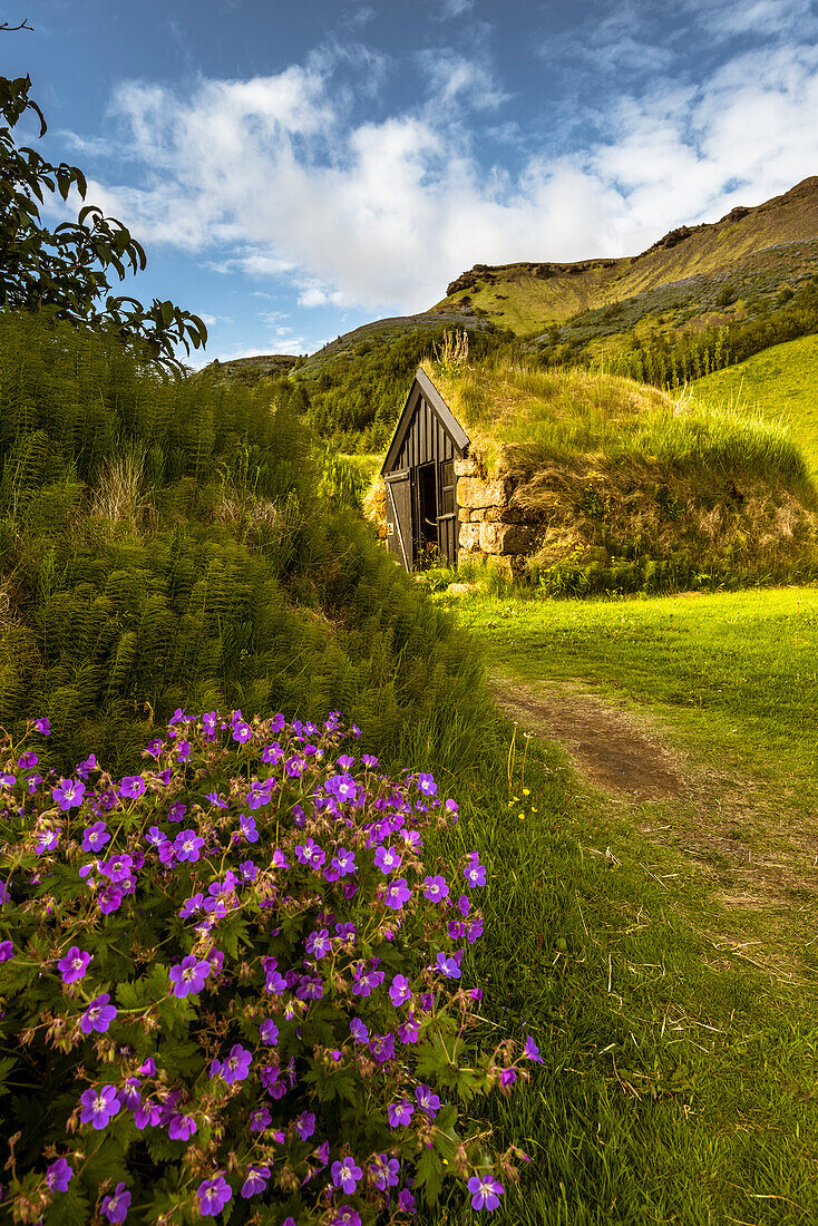 Sk?gar, Southern Iceland, Iconic grass roof houses