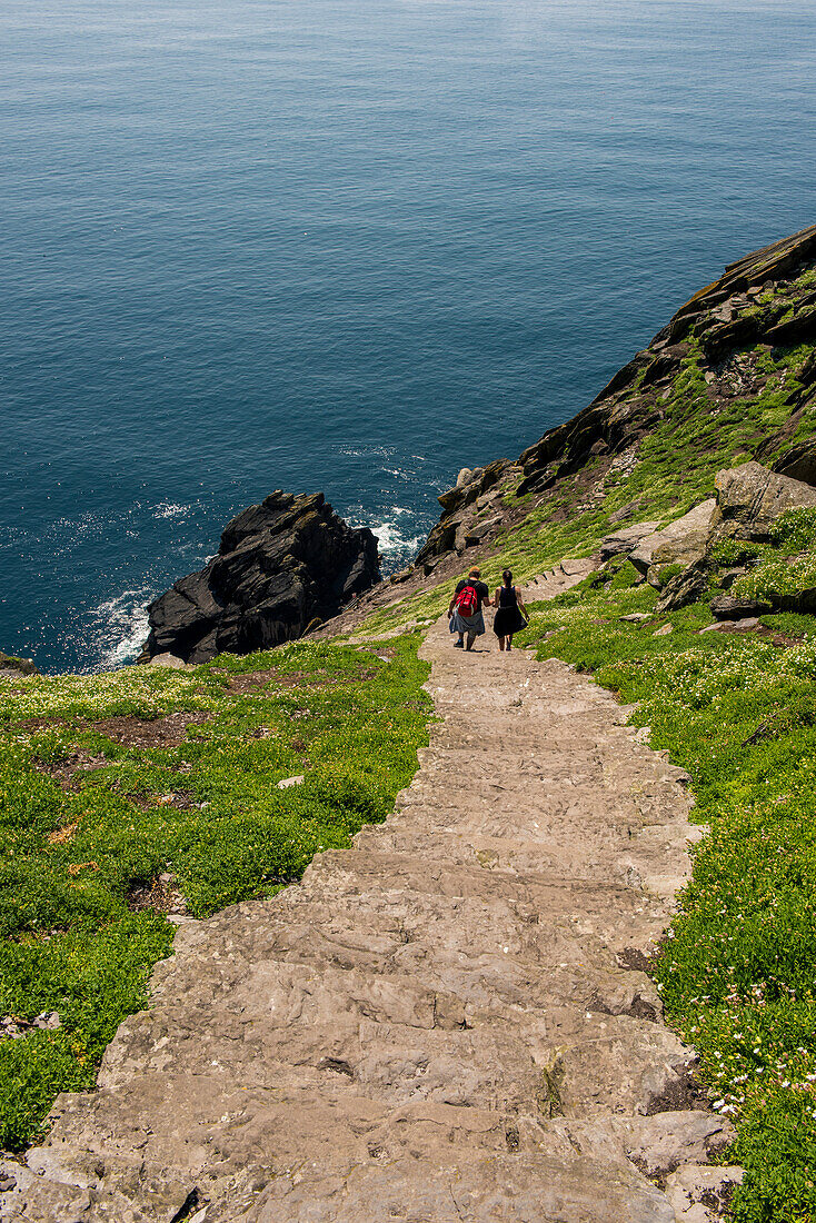 Skellig Michael Great Skellig , Skellig islands, County Kerry, Munster province, Ireland, Europe, Tourists climbs the stairs to the monastery