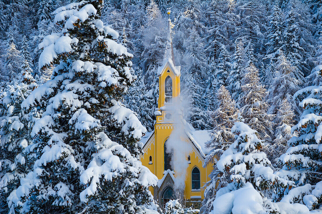 Trees with pristine snow and yellow church, St Moritz, Engadine, Switzerland