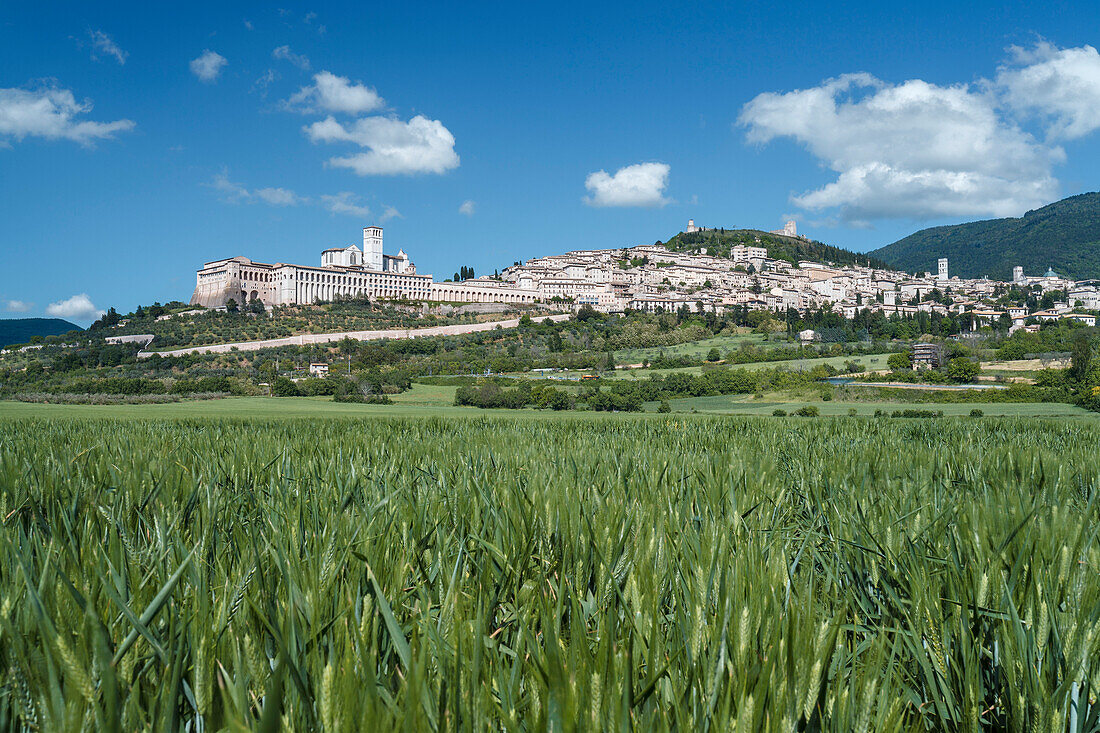 Europe, Italy, Umbria, Perugia, The ancient town of Assisi