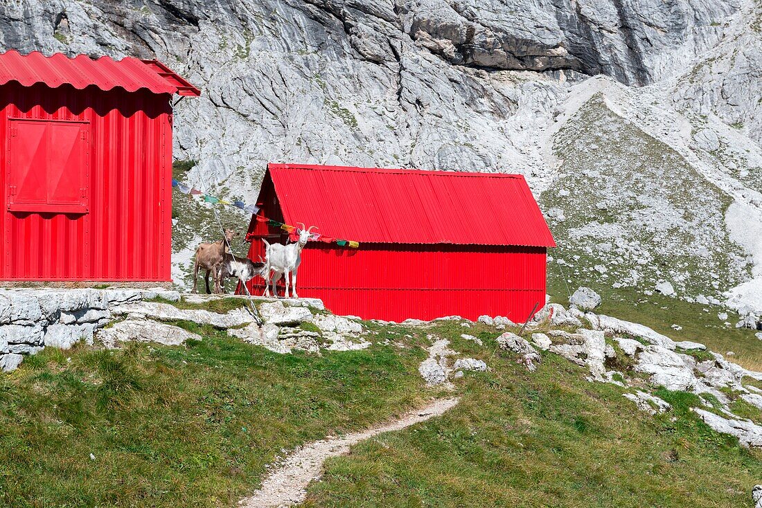 Cimonega, Dolomites, Veneto, Italy, The bivouacs Feltre and Bodo