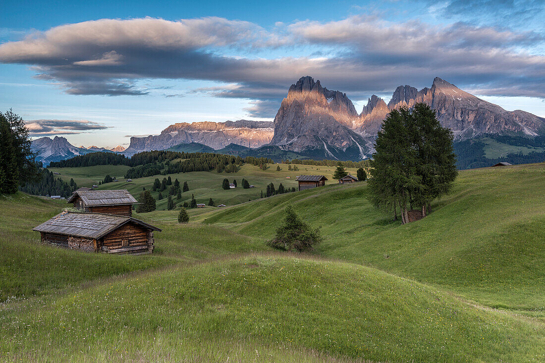 Alpe di Siusi/Seiser Alm, Dolomites, South Tyrol, Italy, The last rays of sun at the Alpe di Siusi/Seiser Alm, In the background the peaks of Sella, Sassolungo/Langkofel and Sassopiatto/Plattkofel