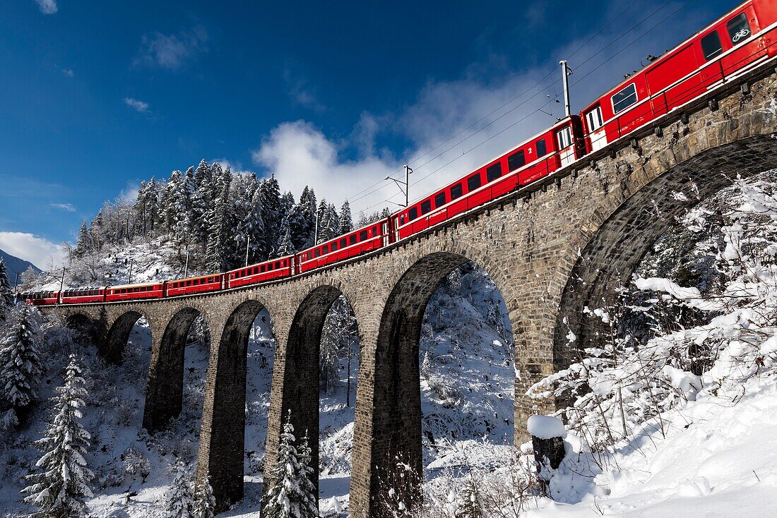 Bernina express , Grigioni-Switzerland
