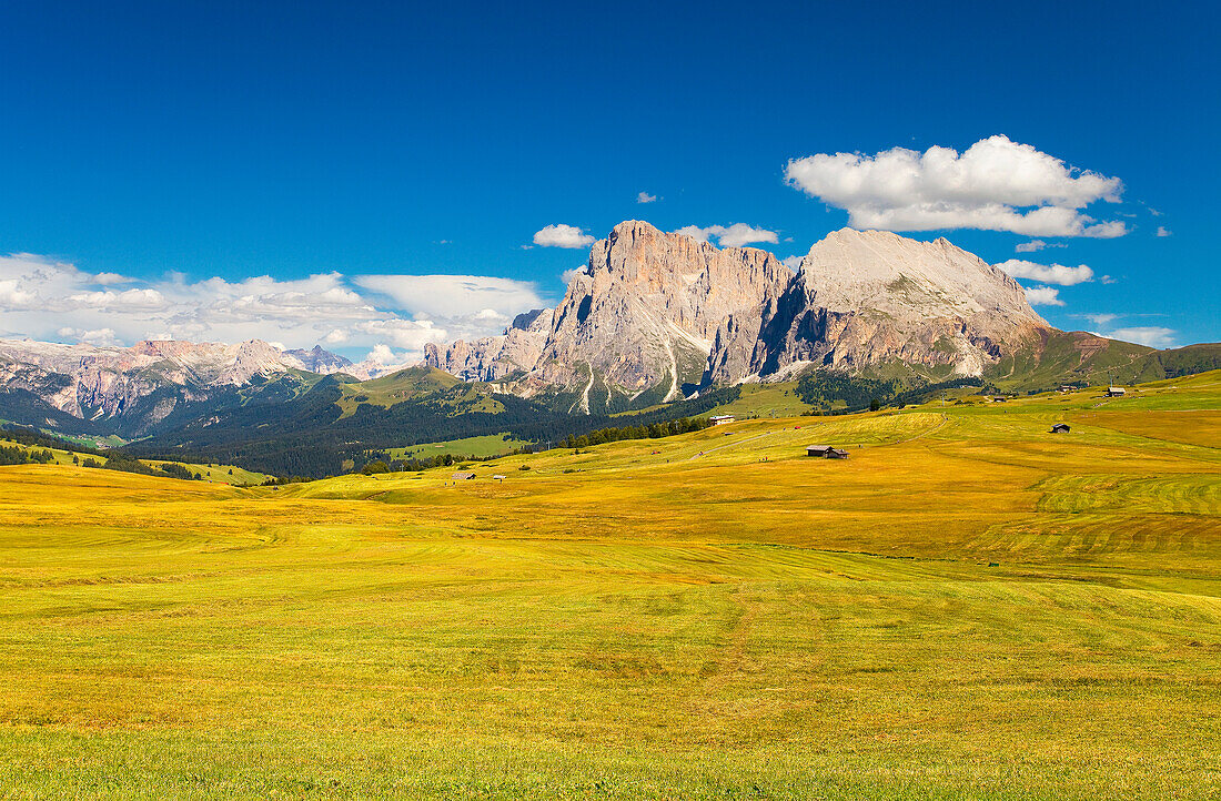Sciliar Natural Park, Dolomites, Italy, The valley of Alpe di Siusi and the mountains of Sassolungo e Sassopiatto
