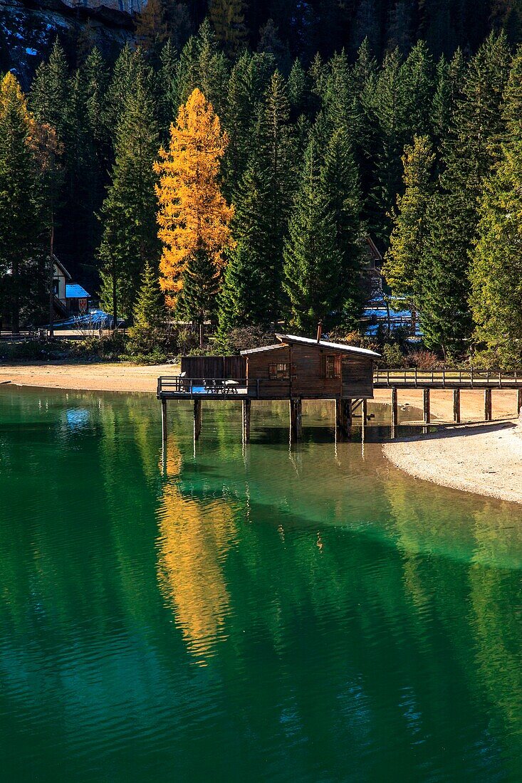 Autumn reflection at Braies lake, Natural park Fanes-Sennes-Braies, Trentino alto Adige, Dolomites, Italy