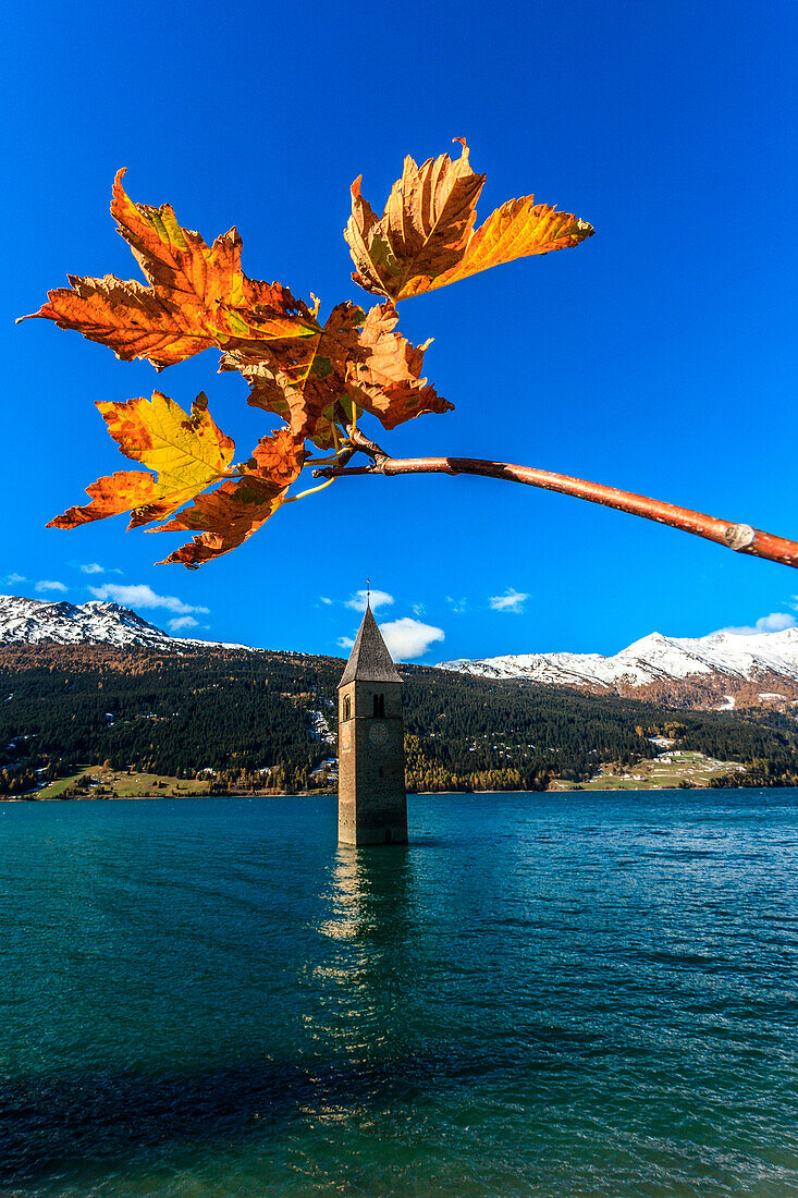 Resia lake, the church, Trentino alto Adige, Italy