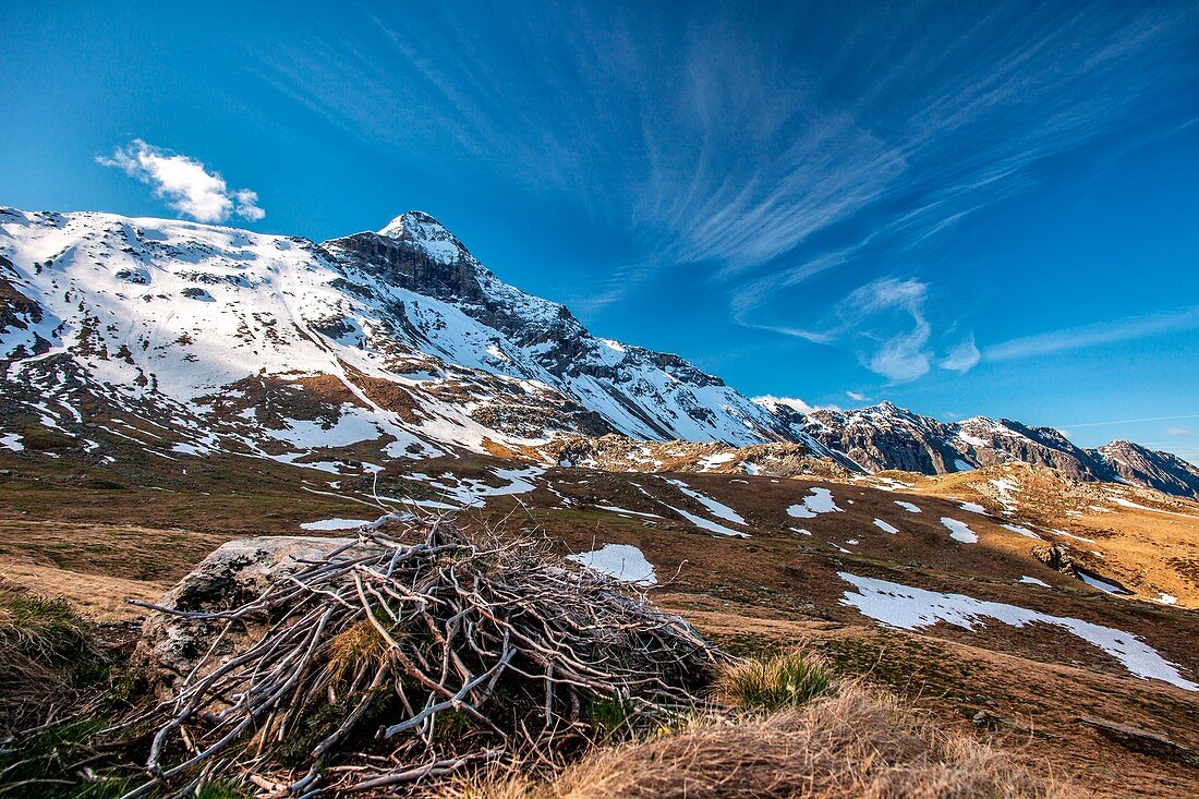 The still snow-capped Pizzo Scalino during the thawing season from Campagneda, Valmalenco, Valtellina, Italy