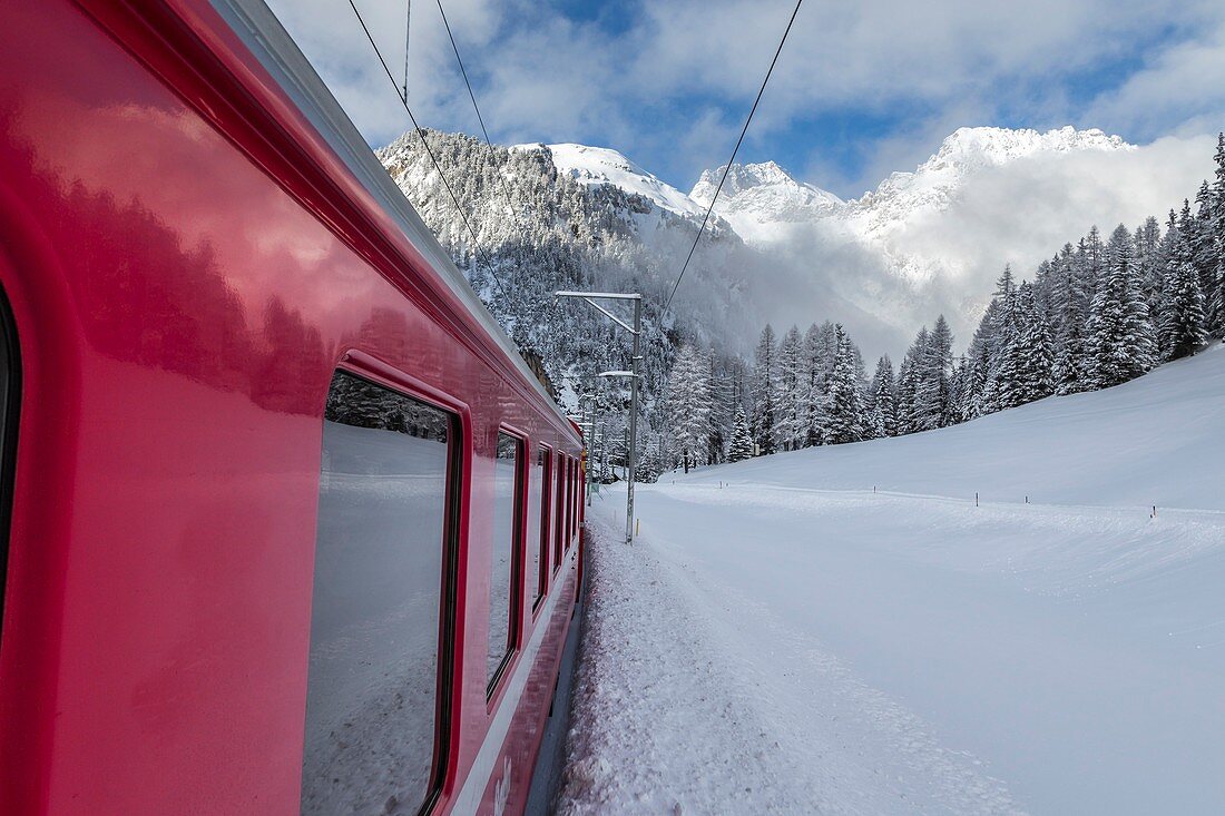 Train going through landscapes covered in snow with mountains and trees, also covered in snow, in the background, non far from Fillisur, Fillisur, Canton of Graubunden, Switzerland