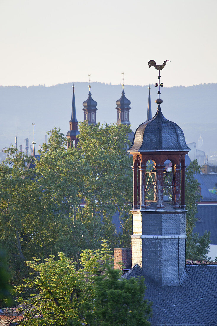 View to the catholic church St. Peter and the capel St. Rochus in the historic old town of Mainz, Rhineland-Palatinate, Germany, Europe