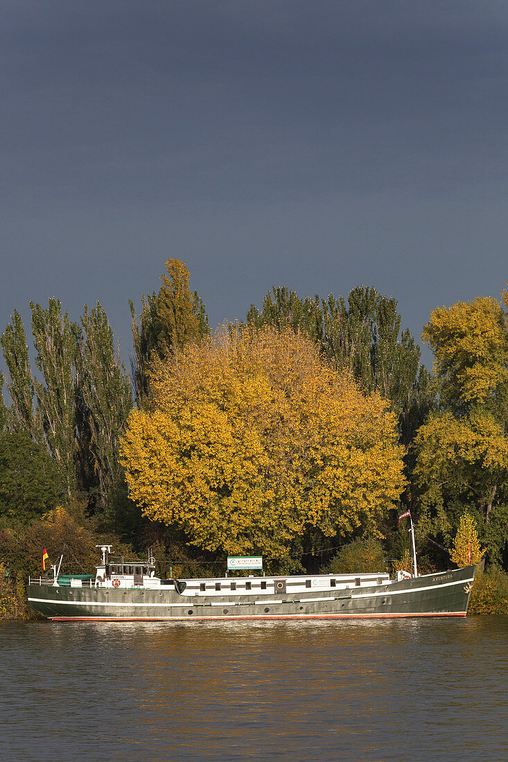 Charterschiff MS Aventura auf dem Rhein in Mainz, Rheinland-Pfalz, Deutschland, Europa