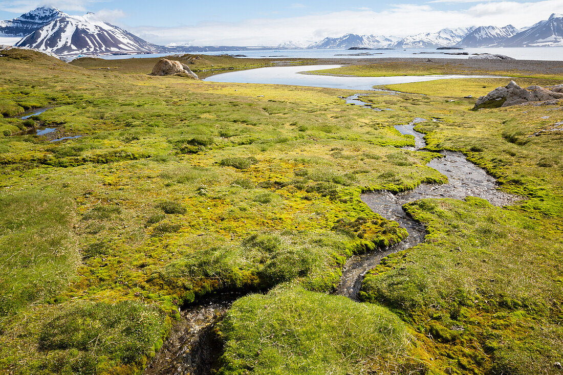 Bach auf Insel Gnalodden Spitzbergen, Svalbard